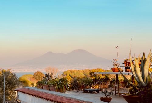 Posillipo Appartement | casa vacanze Mamilù