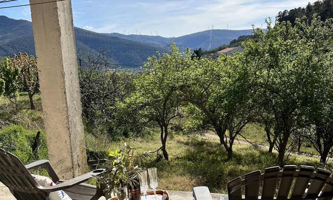 Lamego Maison | Casa Vicente