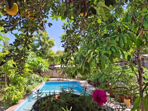 San Jose Vista Hermosa Maison | Casa Vista Hermosa