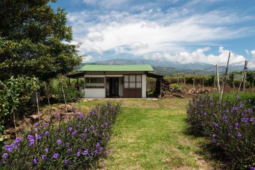 Santiago Maison | Casa y Campo