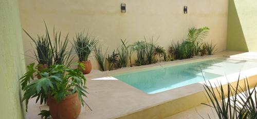 Chichen Itza - Valladolid Maison | Casa Zogo Origen