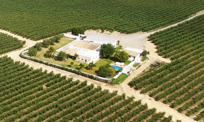 Pilas Maison | Casablanca: Repos au milieu des oliviers