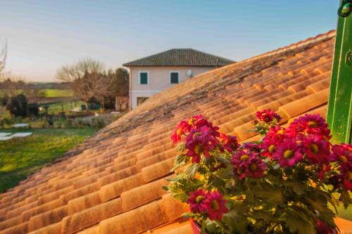 Capannelle Maison | Casale Acquasanta