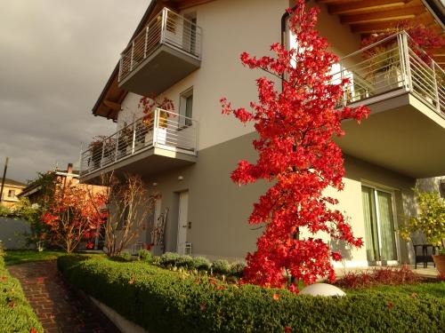 Albano Sant'Alessandro Appartement | CasaRò