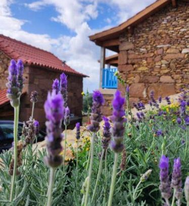 Codecoso Maison | Casas Coração