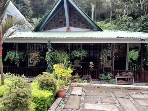 Valle Pura Vida Maison | Casas Guaney, full furnished studios!