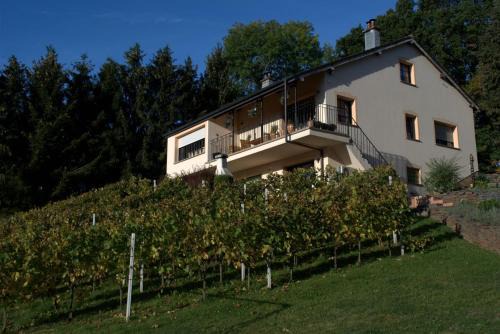Lontzen Appartement | CasaVitis Erholung am Weinberg