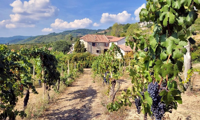 Cessole Maison | CASCINA MARENCO LANGHE COUNTRY HOUSE Dolcetto | with pool, garden, view, wi-fi