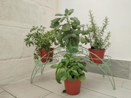 Torre Chianca Appartement | Case Vacanza Dimo Dimira - SALENTO & RELAX
