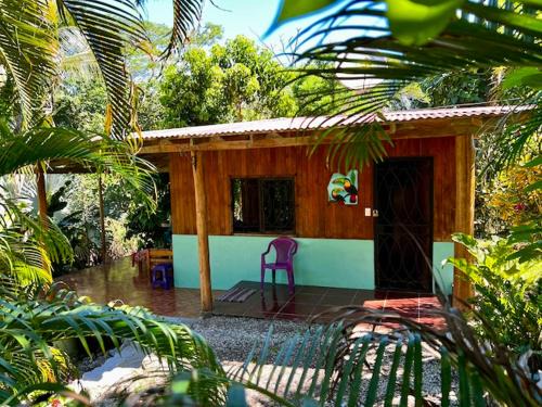 Cabuya Maison | Casita Colibri