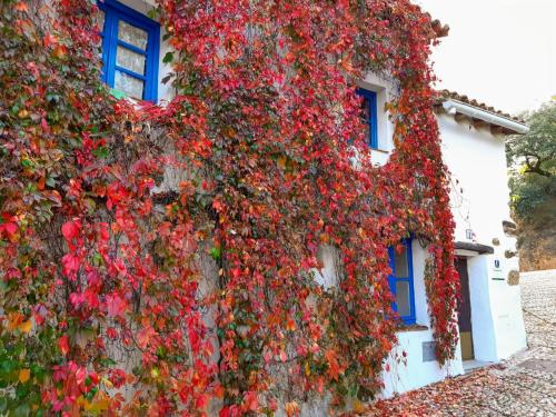 El Collado Maison | Casita Collado 1