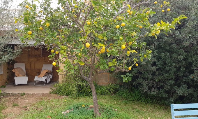 S'Estanyol de Migjorn Maison | Casita sud de pêche de l'île