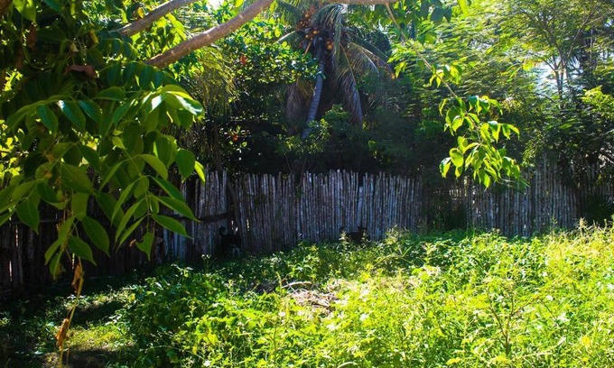 El Cuyo Maison | Casita Kuxtal El Cuyo