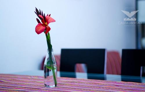 Chorrillos Maison | Casita Libertad Chorrillos