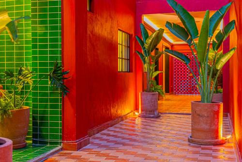 Guadalajara Appartement | Casona Quetzal