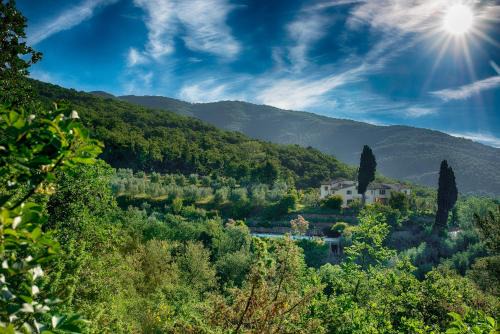 Castiglion Fibocchi Maison | Castellina di Bocco