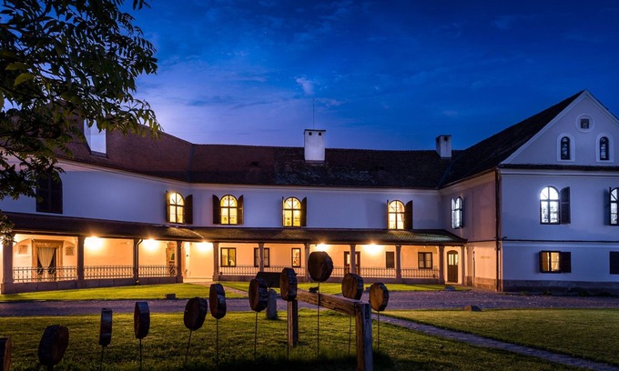 Talisoara Hôtel | Castle Hotel Daniel