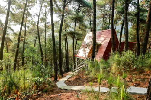Cat Hai Cabine | Cat Ba Eco Lodge
