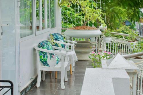 Cat Hai Maison | Cat Ba Santorini Homestay
