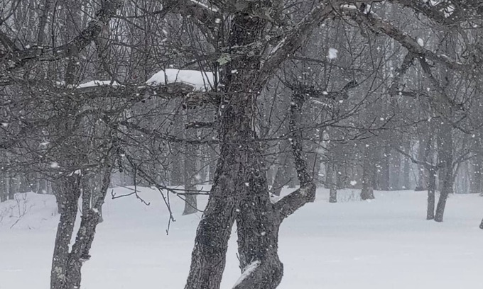 Livingston Manor Location De VR | Catskills Getaway