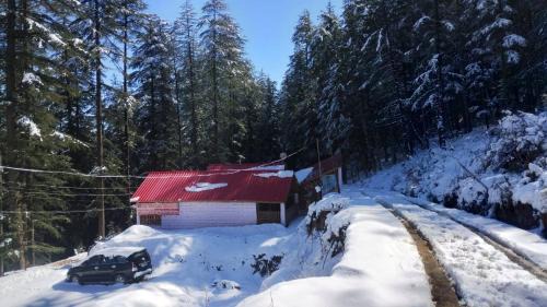 Matiana Cabine | cedar tree cottage gadakufri