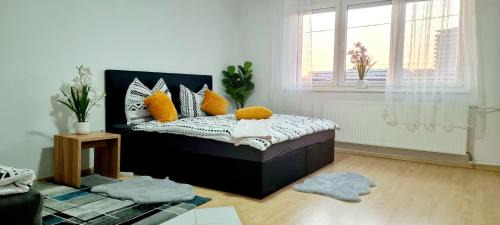 Kleinmunchen Appartement | Central apartment in LINZ