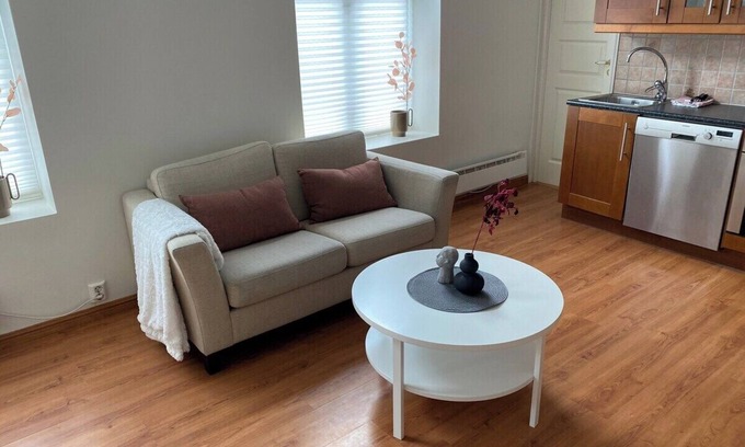 Narvik Appartement | Central bus station apt (D14C)