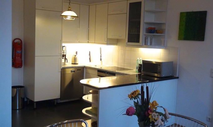 Roßau Appartement | Appartement sécurisé très confortable situé au centre pour 2-4 personnes avec vue sur la rivière