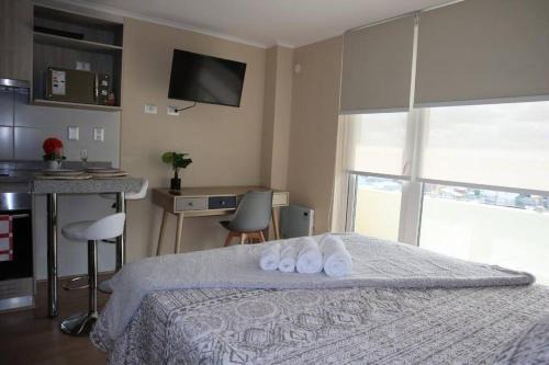 Osorno Appartement | Centro Osorno Express