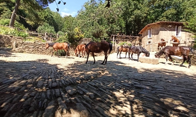 Colonnata Maison | Centro Trekking A Cavallo Monte Brugiana