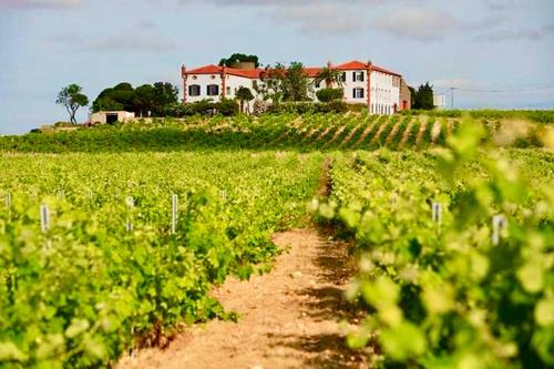 Cabestany Maison | Château au milieu du vignoble avec piscine à 10 mn des plages