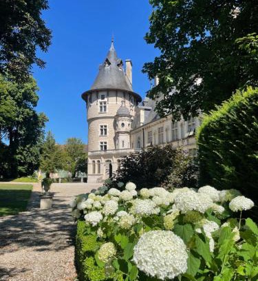 Montigny-sur-Aube Lit Et Petit-Déjeuner | Château de Montigny-sur-Aube