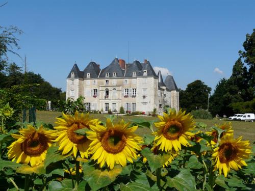 Dange-Saint-Romain Lit Et Petit-Déjeuner | Château de Piolant