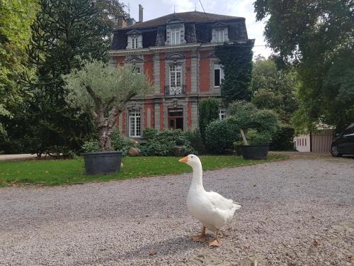 Belhez Hôtel | Château Lambert Moulinsart Hotel, shuttle airport, long term parking, snooker, large terrasse, dinner, breakfast