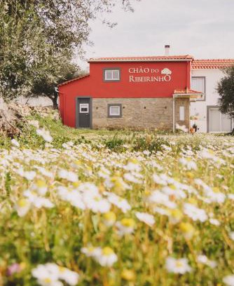 Fundao Maison | Chão do Ribeirinho