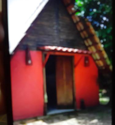 Paraty Appartement | Chalé Floresta