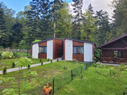Busteni Chalet De Ski | Chalet Amik