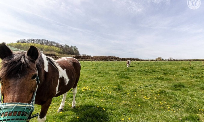 Cussy-en-Morvan Maison | Chalet Daniel - CUSSY EN MORVAN