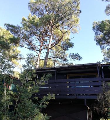 Maubuisson Chalet De Ski | Chalet dans les pins