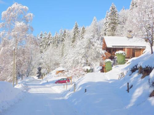 Queige Chalet De Ski | Chalet de Marie proche des Saisies