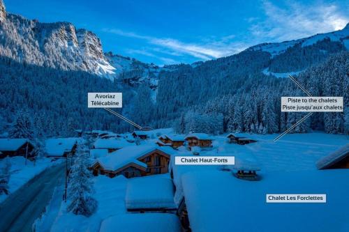 Les Prodains Chalet De Ski | Chalet Hauts Forts Prodains Mountain Voyages