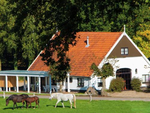 Ootmarsum Chalet De Ski | Chalet in Netherlands with Private Garden