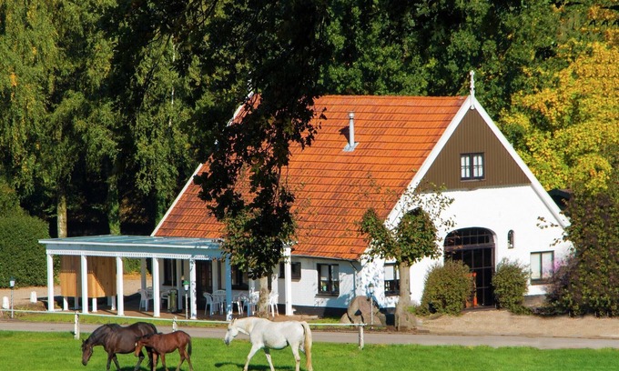 Ootmarsum Chalet De Ski | Chalet confortable avec foyer au gaz à Twente