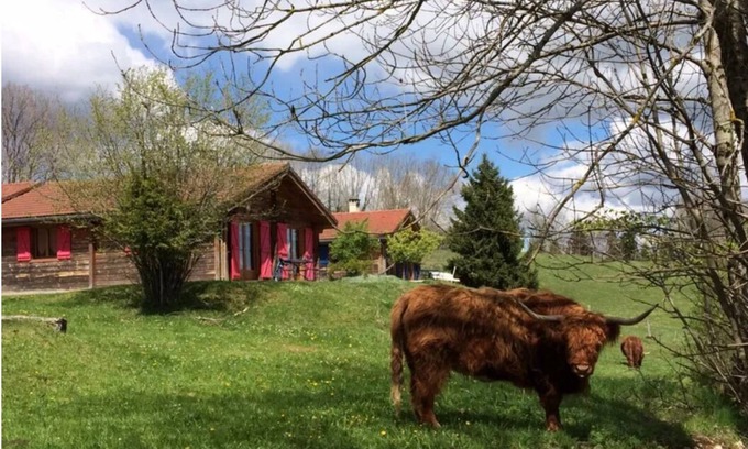 Lent Chalet De Ski | Chalet in the heart of nature near a farm with animals