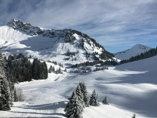 Les Deux Alpes Station Balnéaire | Chalet Les 3 Ours by Leavetown Vacations