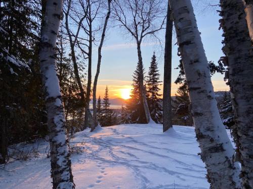 Les Eboulements Chalet De Ski | Chalet Sous Les Pins