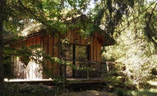 Champfromier Autre | Chalet toit vegétalisé