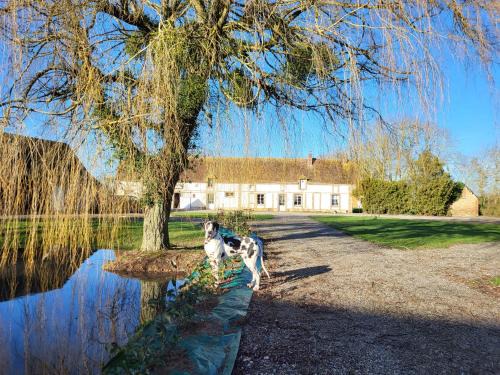 Mandres Lit Et Petit-Déjeuner | Chambre d'hôtes au Haras d'Agathe et ses princes