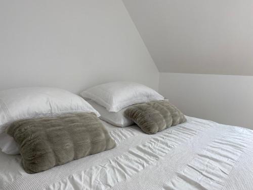 Semblancay Lit Et Petit-Déjeuner | Chambre d'hôtes indépendante Les Agapanthes