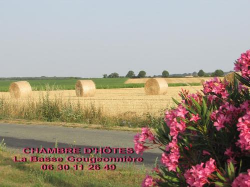 Neuvy-en-Mauges Lit Et Petit-Déjeuner | Chambre D'hôtes La Basse Gougeonnière